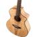 Breedlove Oregon: Picture 2 thumbnail