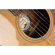 Fender Newporter Player: Picture 5 thumbnail