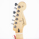 Fender Player Stratocaster: Picture 2 thumbnail