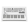 Korg Minilogue: Picture 1 thumbnail
