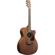 Ibanez Performance Series: Picture 1 thumbnail