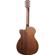 Ibanez Performance Series: Picture 3 thumbnail