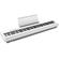 Roland FP-30X: Picture 1 thumbnail