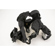 Petrol Transparent DSLR Plus Rain Cover ...: Picture 4 thumbnail
