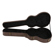 Luna Hardcase: Picture 2 thumbnail