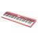 Roland GO:KEYS Keyboard: Picture 4 thumbnail