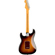 Fender American Pro II Strat: Picture 2 thumbnail