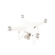 DJI Phantom 4 Pro/Pro+ V2.0: Picture 1 thumbnail