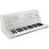 Korg MS-20 FS: Picture 1 thumbnail