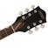 Gretsch G2604T Streamliner Rally II Cent...: Picture 2 thumbnail
