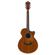 Ibanez AE295: Picture 2 thumbnail