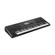 Korg PA300: Picture 1 thumbnail