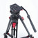 Cartoni Focus 12: Picture 3 thumbnail