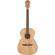 Fender FA-235E: Picture 1 thumbnail