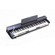 Casio PX-870: Picture 2 thumbnail