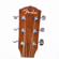 Fender CD-60S: Picture 3 thumbnail
