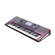 Korg Pa1000: Picture 2 thumbnail