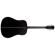 Washburn Deep Forest Ebony D: Picture 3 thumbnail