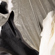 Elinchrome 75" Indirect Octabox (Old Ver...: Picture 13 thumbnail