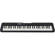 Casio CT-S300: Picture 1 thumbnail