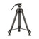 Ikan EG01A2: Picture 1 thumbnail