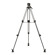 Ikan EG01A2: Picture 2 thumbnail