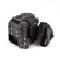 Canon EOS C300 Mark III: Picture 4 thumbnail