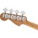 Charvel San Dimas Bass PJ IV: Picture 5 thumbnail