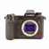 Panasonic DC-S1H: Picture 8 thumbnail