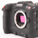 Canon EOS C70: Picture 16 thumbnail