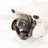 DJI Mini 3: Picture 4 thumbnail