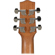 Ibanez EWP14: Picture 6 thumbnail