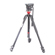 Manfrotto 500: Picture 1 thumbnail