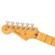 Fender American Pro II Strat: Picture 4 thumbnail