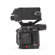 Canon C200: Picture 4 thumbnail