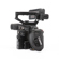 Canon C200: Picture 6 thumbnail