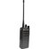 Motorola CP100D: Picture 1 thumbnail