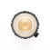 Light & Motion Stella Pro Reflex: Picture 6 thumbnail