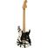 EVH Striped '78 Eruption: Picture 1 thumbnail