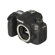 Canon EOS 90D: Picture 7 thumbnail
