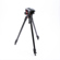 Manfrotto 504HD: Picture 1 thumbnail
