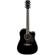 Ibanez PF15ECE: Picture 1 thumbnail