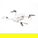 DJI Mini 2: Picture 3 thumbnail