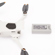 DJI Mini 2: Picture 14 thumbnail