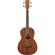 Ibanez PNB14E: Picture 1 thumbnail