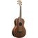 Ibanez PNB14E: Picture 2 thumbnail