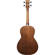 Ibanez PNB14E: Picture 3 thumbnail