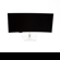Dell U4025QW: Picture 2 thumbnail
