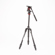 Manfrotto Befree Live: Picture 1 thumbnail