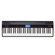 Roland GO-61P GO:PIANO: Picture 1 thumbnail